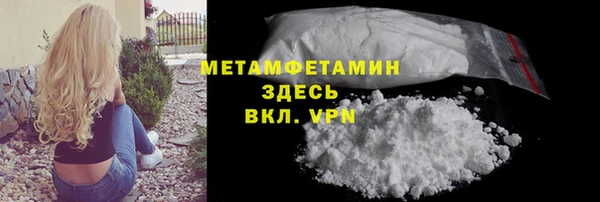 крисы Бородино